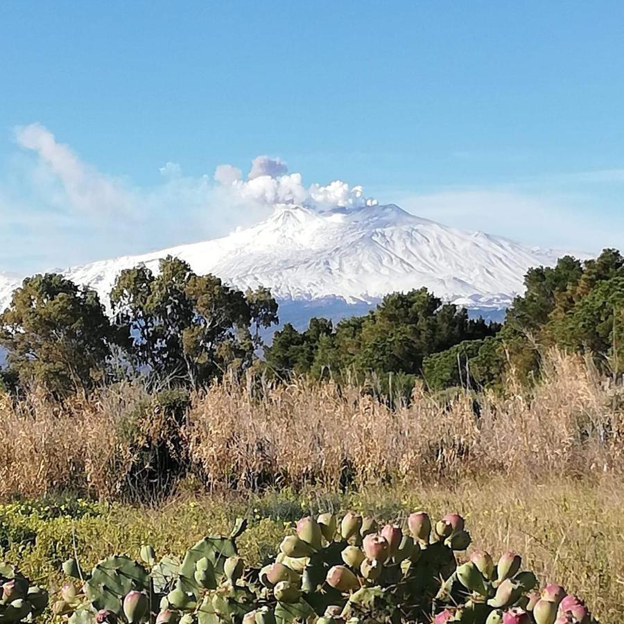 Casa Donna Rosaria Tra Etna E Taormina Lägenhet Riposto Exteriör bild