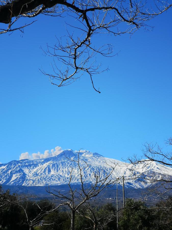 Casa Donna Rosaria Tra Etna E Taormina Lägenhet Riposto Exteriör bild