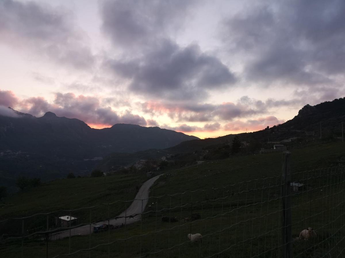 Casa Donna Rosaria Tra Etna E Taormina Lägenhet Riposto Exteriör bild